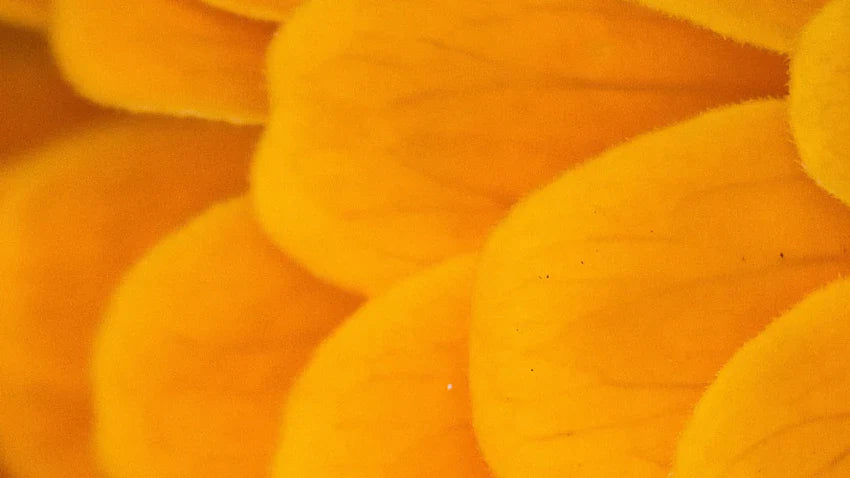 Vitamin A – this is how the active ingredient relieves your skin