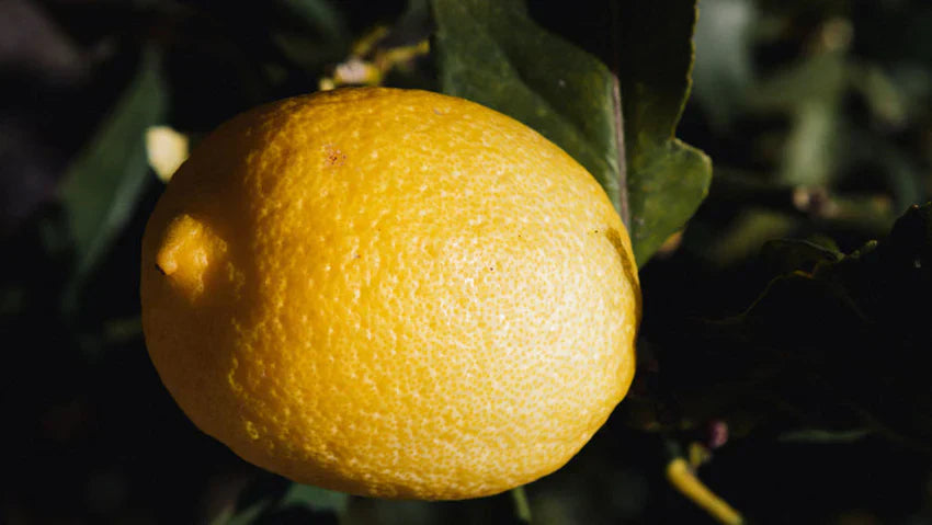 Citric acid – this is how the remedy relieves your skin