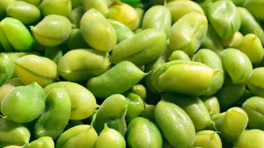 Soybean oil – this is how the ingredient works in cosmetics